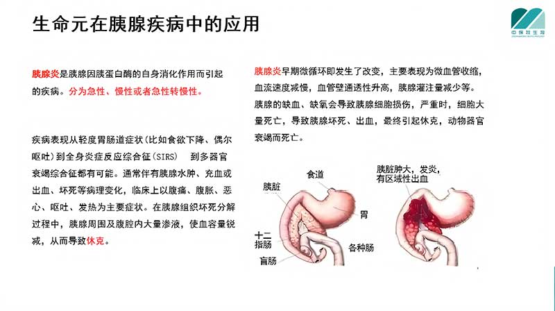 生命元在胰腺疾病中的应用.jpg