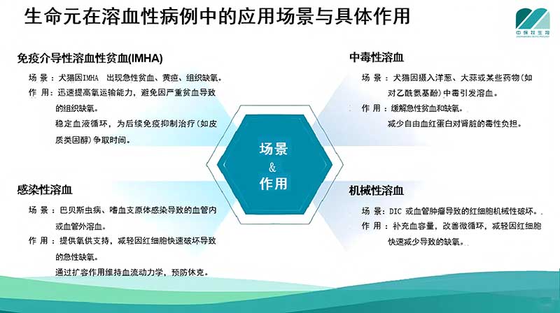 生命元在溶血性病例中的应用场景与具体作用
