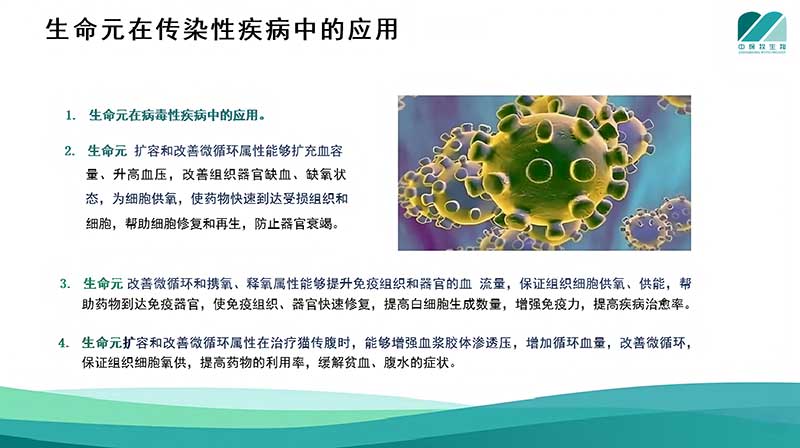 生命元在传染性疾病中的应用
